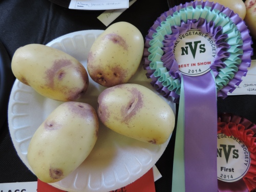 Best in Show potatoes